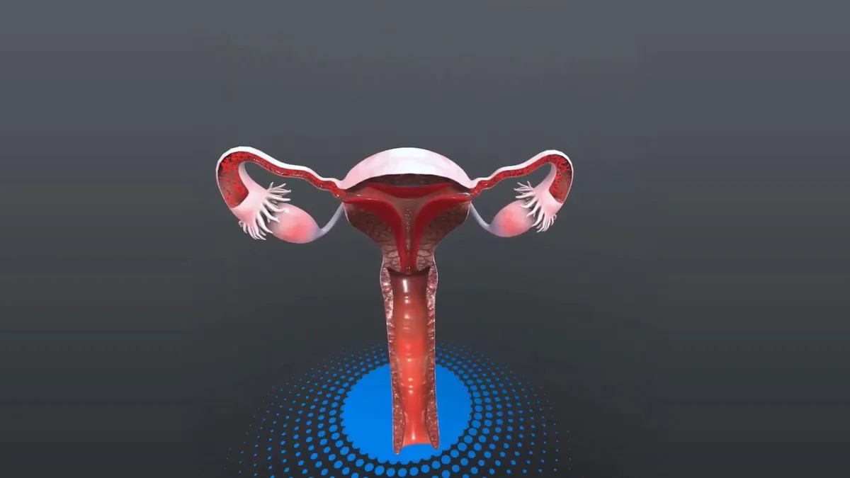 Interactive 3D anatomy model in EDIIIE VR anatomy and physiology training