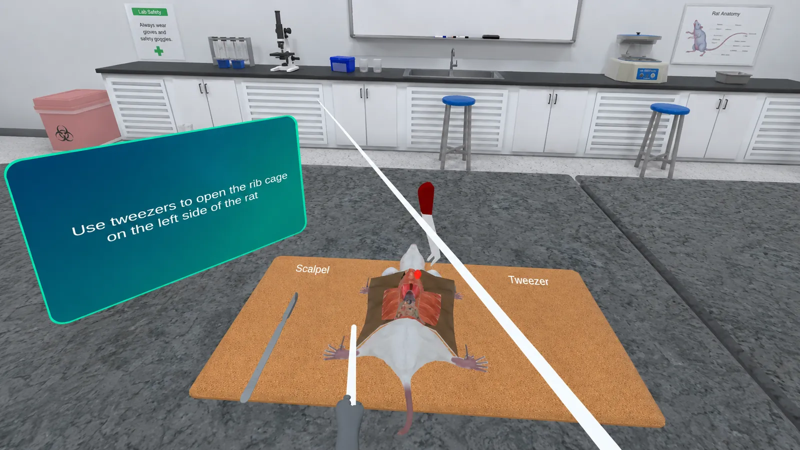 VR biology lab dissection with step-by-step instrument prompts